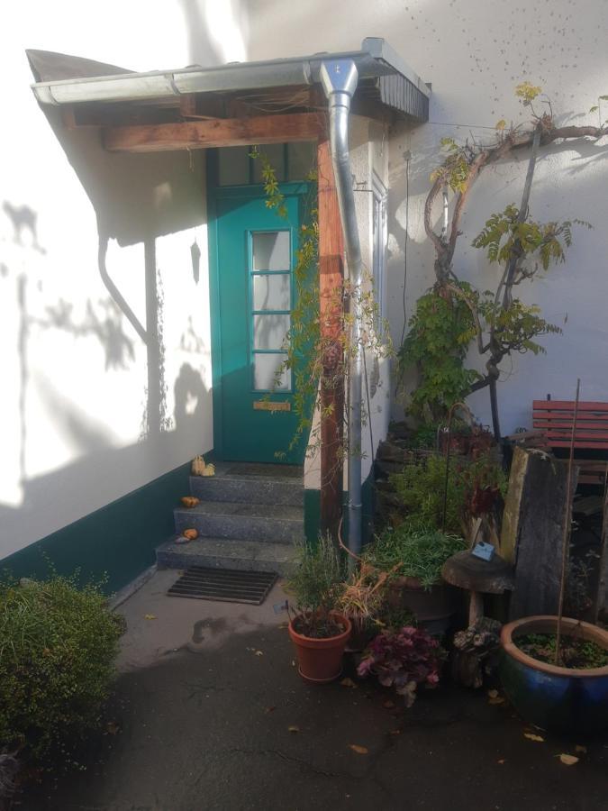 Gartenzimmer Mit Strassenbahn Zu Dom Und Messe Keulen Buitenkant foto